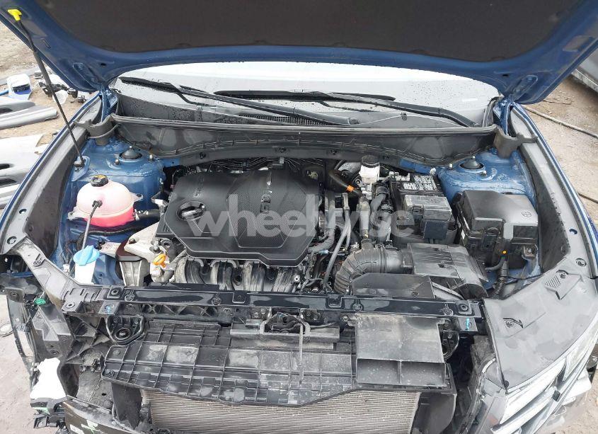 Photo 10 of 2024 Hyundai Tucson SEL (VIN 5NMJF3DE7RH301663)