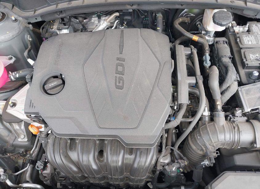 Photo 10 of 2024 Hyundai Tucson SEL (VIN 5NMJF3DE8RH409029)