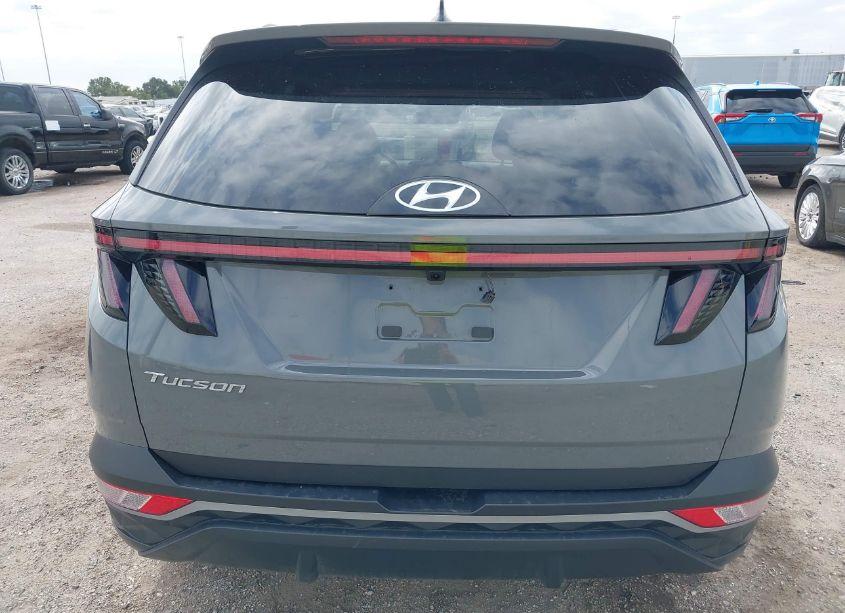 Photo 16 of 2024 Hyundai Tucson SEL (VIN 5NMJF3DE8RH409029)