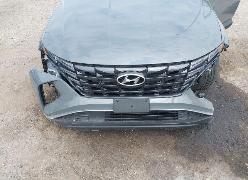 Photo 6 of 2024 Hyundai Tucson SEL (VIN 5NMJF3DE8RH409029)