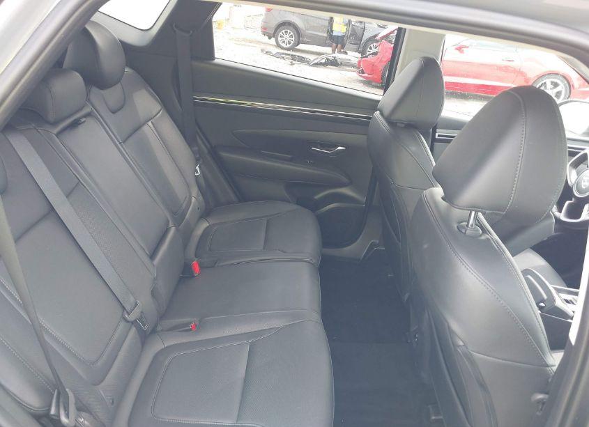 Photo 8 of 2024 Hyundai Tucson SEL (VIN 5NMJF3DE8RH409029)