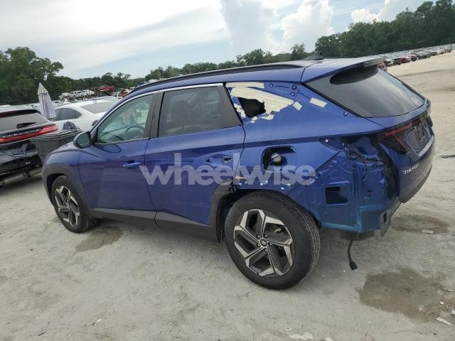 Photo 6 of 2024 HYUNDAI TUCSON SEL (VIN 5NMJF3DE9RH299141)