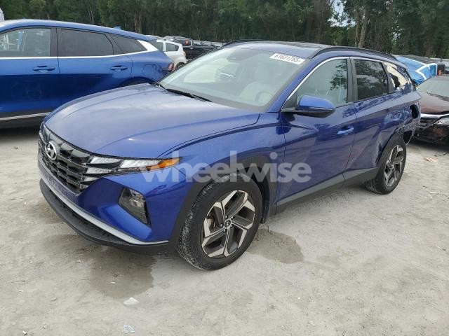 Photo 8 of 2024 HYUNDAI TUCSON SEL (VIN 5NMJF3DE9RH299141)