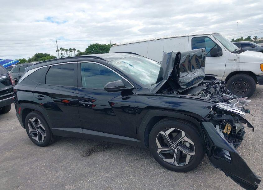 Photo 13 of 2024 Hyundai Tucson SEL (VIN 5NMJF3DE9RH342277)