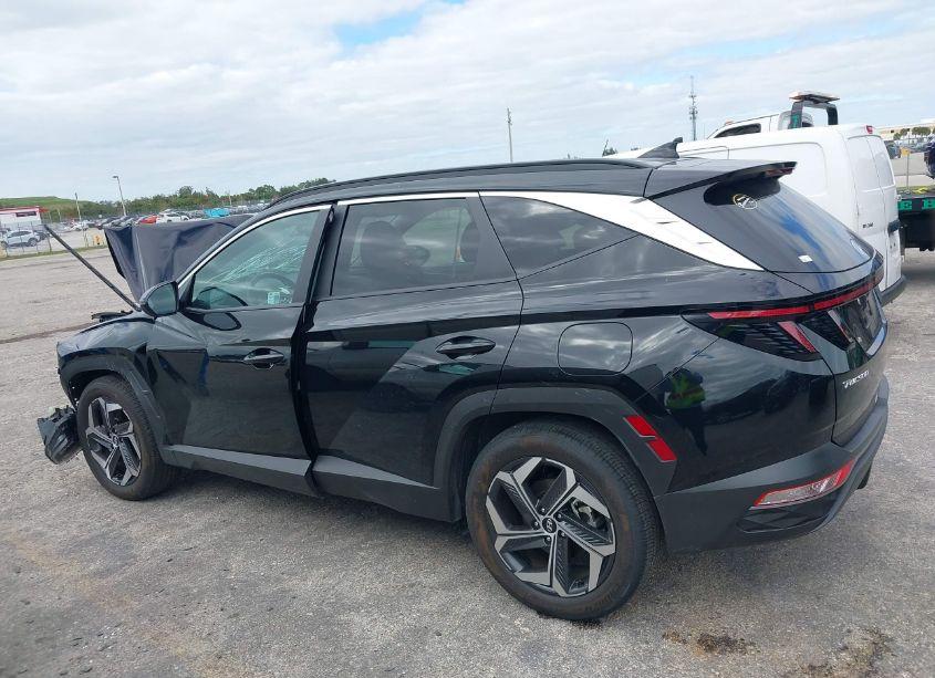 Photo 14 of 2024 Hyundai Tucson SEL (VIN 5NMJF3DE9RH342277)