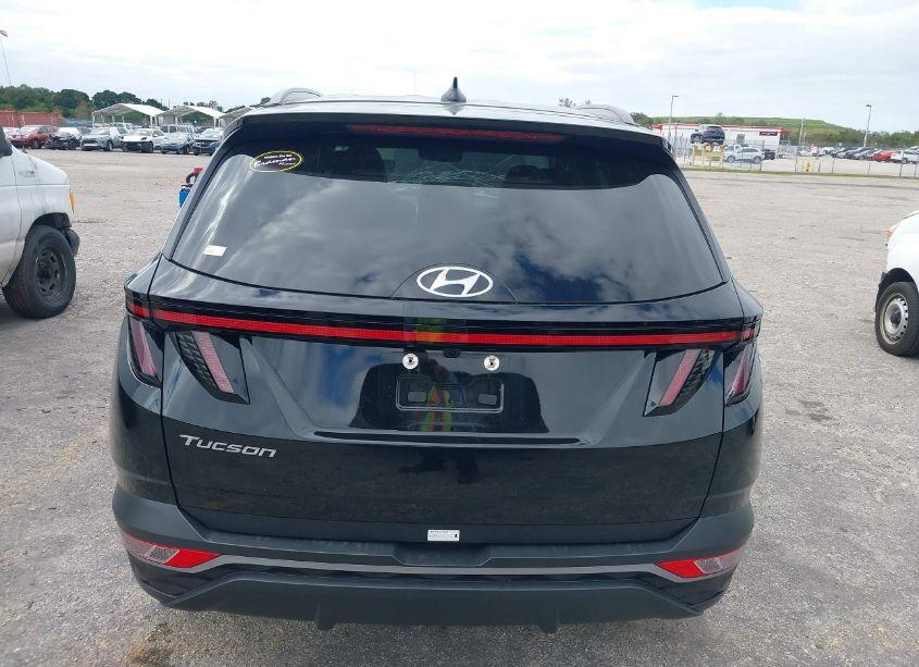 Photo 16 of 2024 Hyundai Tucson SEL (VIN 5NMJF3DE9RH342277)