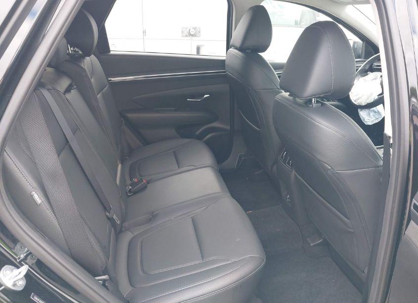 Photo 8 of 2024 Hyundai Tucson SEL (VIN 5NMJF3DE9RH342277)