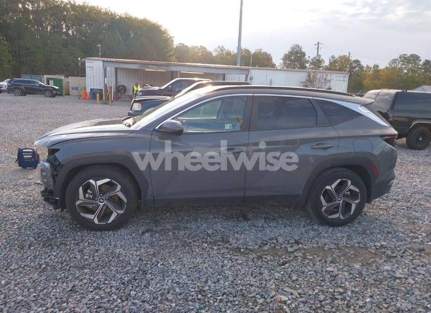 Photo 15 of 2024 Hyundai Tucson SEL (VIN 5NMJF3DE9RH355627)