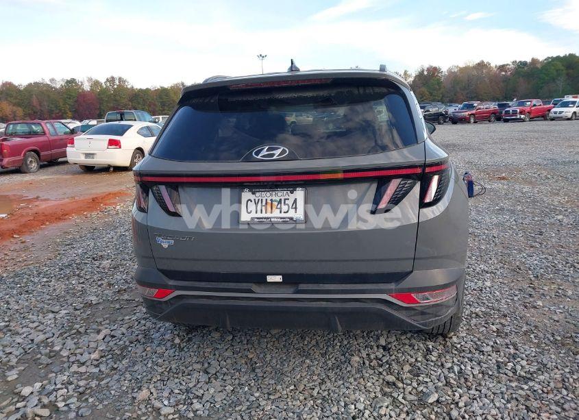 Photo 17 of 2024 Hyundai Tucson SEL (VIN 5NMJF3DE9RH355627)