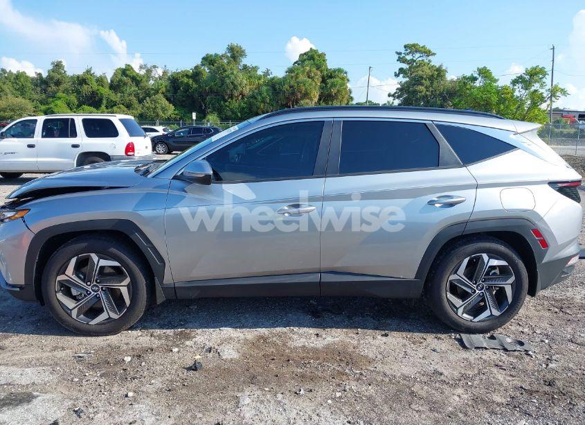Photo 15 of 2024 Hyundai Tucson SEL (VIN 5NMJF3DE9RH419116)