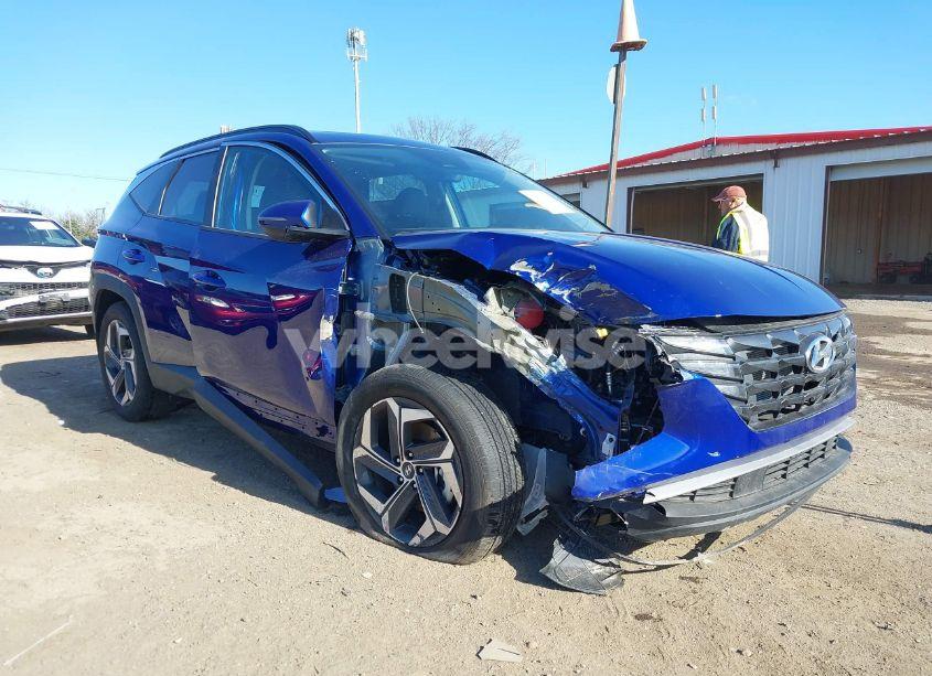 2024 Hyundai Tucson SEL (VIN 5NMJF3DEXRH359525) main photo