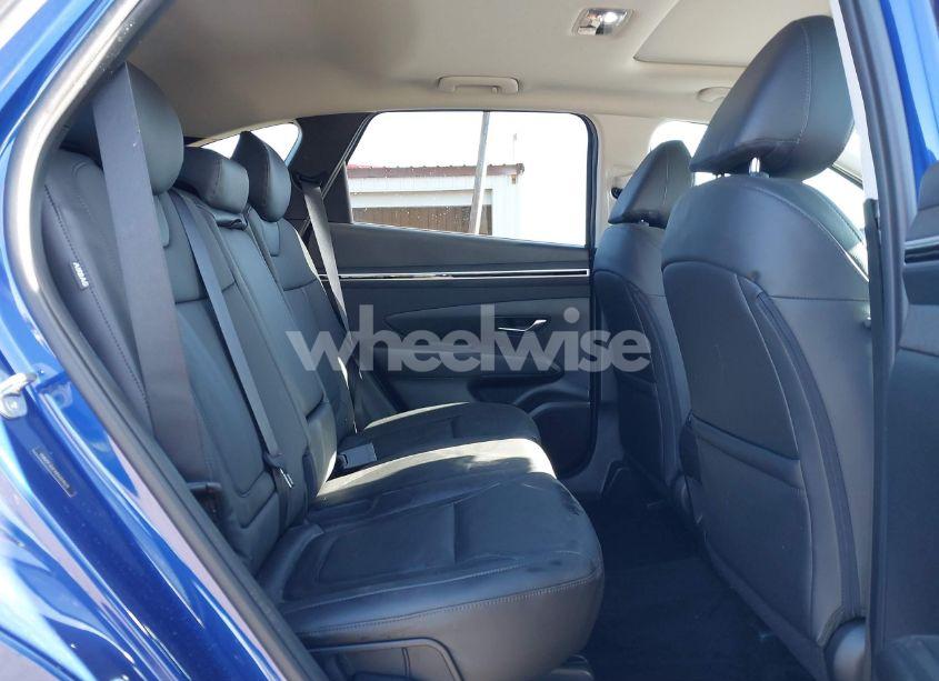 Photo 8 of 2024 Hyundai Tucson SEL (VIN 5NMJF3DEXRH359525)