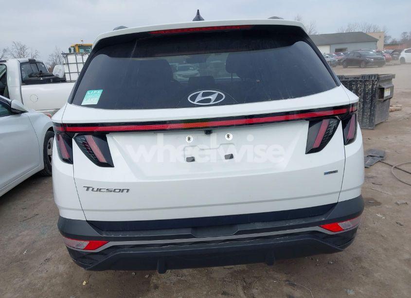 Photo 17 of 2022 Hyundai Tucson SEL (VIN 5NMJFCAE0NH035904)