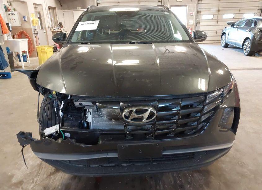 Photo 12 of 2023 Hyundai Tucson SEL (VIN 5NMJFCAE1PH191243)