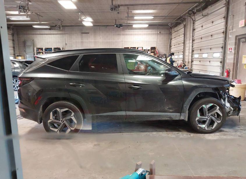 Photo 13 of 2023 Hyundai Tucson SEL (VIN 5NMJFCAE1PH191243)