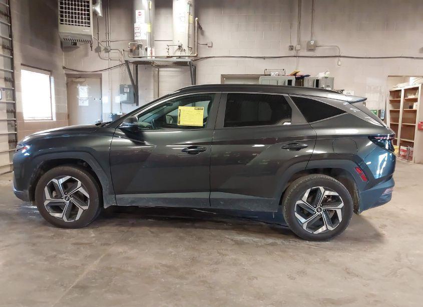 Photo 14 of 2023 Hyundai Tucson SEL (VIN 5NMJFCAE1PH191243)
