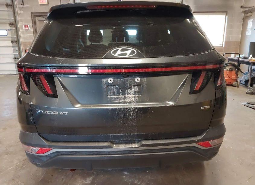 Photo 16 of 2023 Hyundai Tucson SEL (VIN 5NMJFCAE1PH191243)