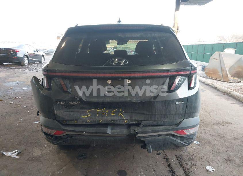 Photo 16 of 2023 Hyundai Tucson SEL (VIN 5NMJFCAE1PH224970)