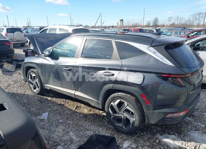 Photo 14 of 2022 Hyundai Tucson SEL (VIN 5NMJFCAE2NH042823)