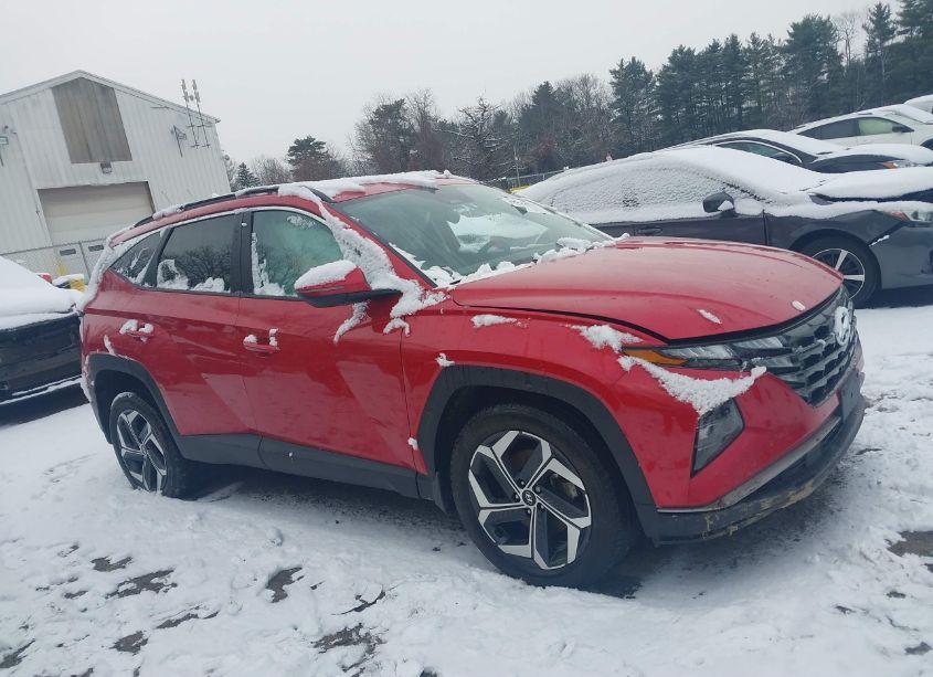 Photo 13 of 2023 Hyundai Tucson SEL (VIN 5NMJFCAE2PH214965)