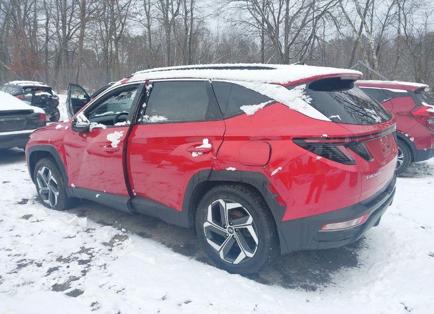 Photo 14 of 2023 Hyundai Tucson SEL (VIN 5NMJFCAE2PH214965)