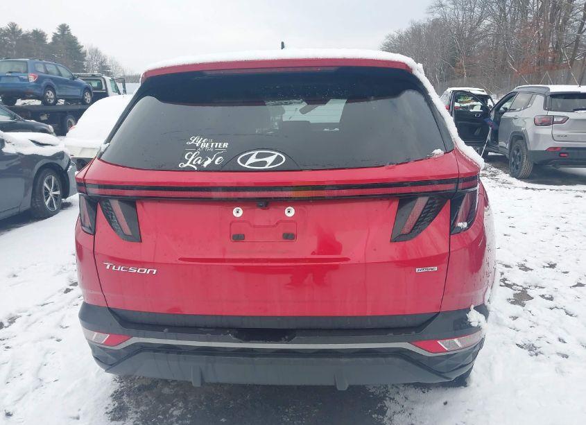 Photo 16 of 2023 Hyundai Tucson SEL (VIN 5NMJFCAE2PH214965)