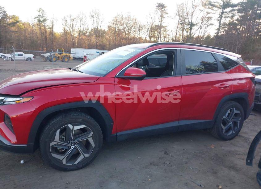 Photo 14 of 2023 Hyundai Tucson SEL (VIN 5NMJFCAE3PH217938)