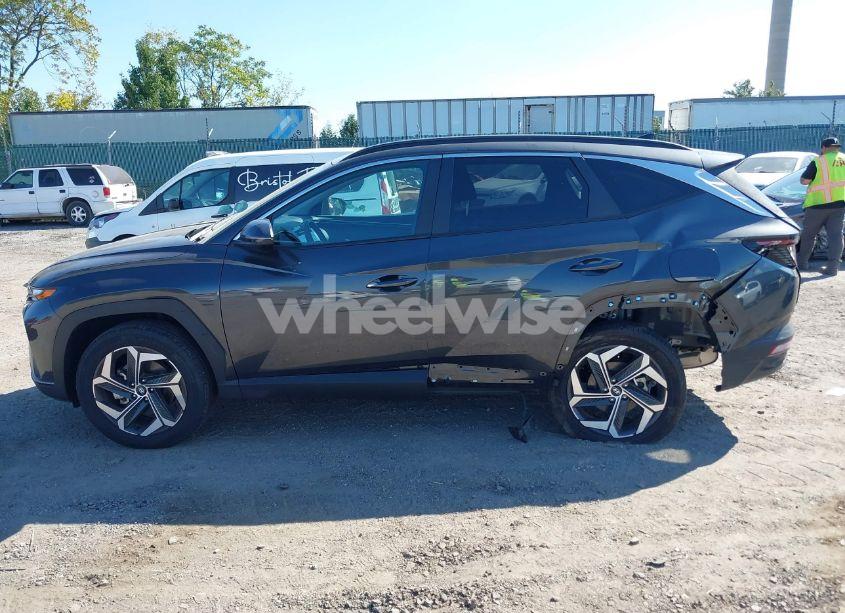 Photo 14 of 2023 Hyundai Tucson SEL (VIN 5NMJFCAE3PH252432)