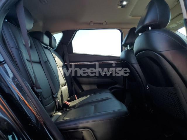 2023 HYUNDAI TUCSON SEL (VIN 5NMJFCAE4PH212490) main photo