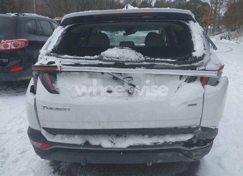 Photo 17 of 2023 Hyundai Tucson SEL (VIN 5NMJFCAE4PH278845)