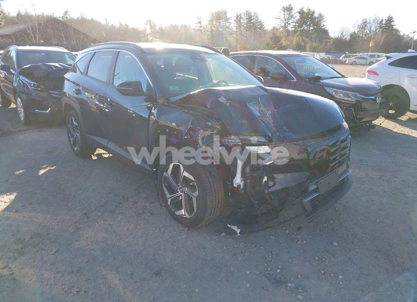 2023 Hyundai Tucson SEL (VIN 5NMJFCAE5PH171254) main photo