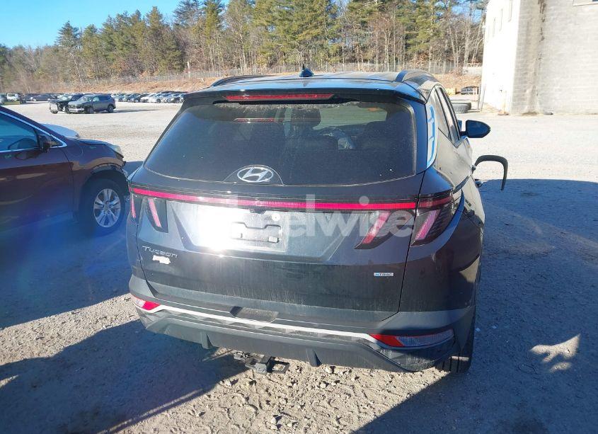 Photo 16 of 2023 Hyundai Tucson SEL (VIN 5NMJFCAE5PH171254)