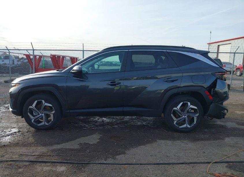 Photo 14 of 2023 Hyundai Tucson SEL (VIN 5NMJFCAE5PH202910)