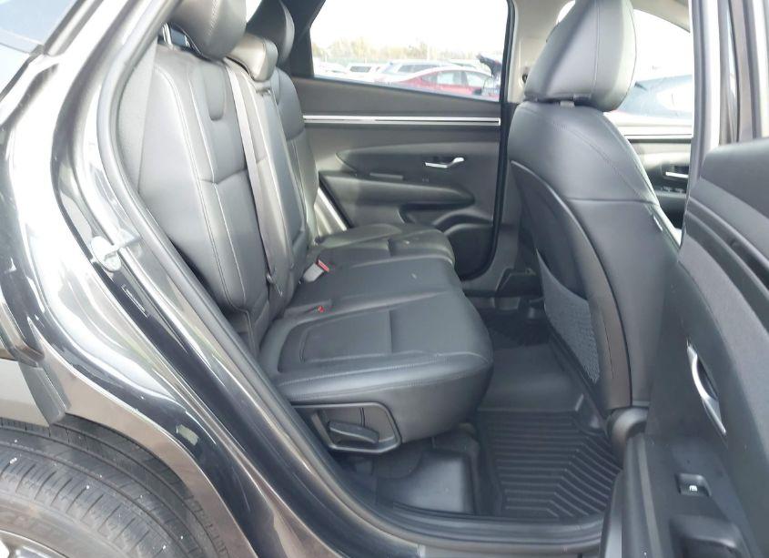 Photo 8 of 2023 Hyundai Tucson SEL (VIN 5NMJFCAE5PH202910)