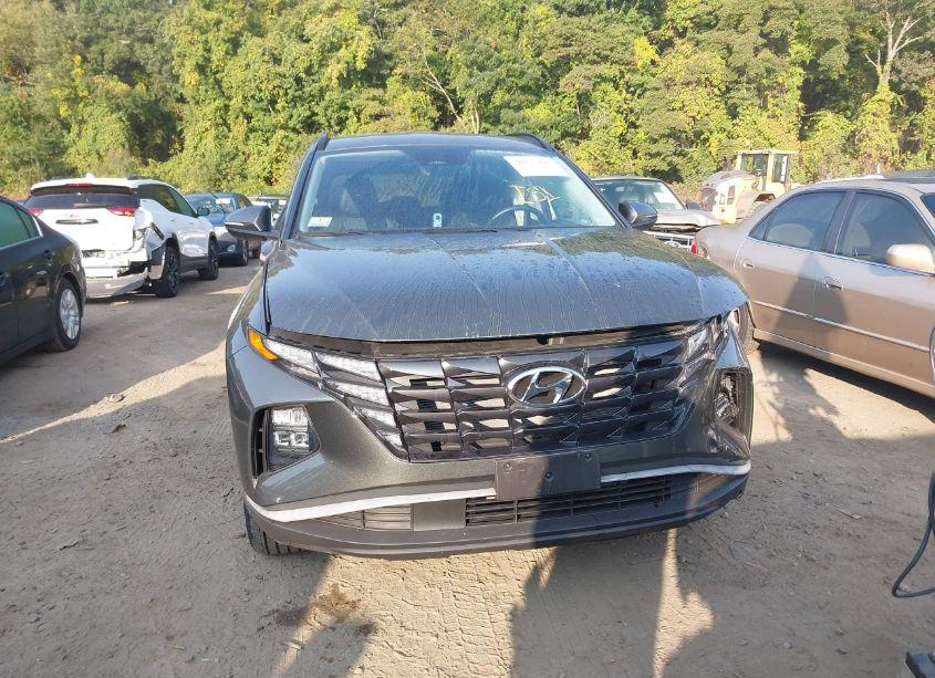 Photo 12 of 2023 Hyundai Tucson SEL (VIN 5NMJFCAE5PH209372)