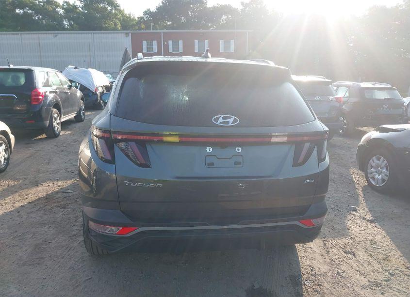 Photo 16 of 2023 Hyundai Tucson SEL (VIN 5NMJFCAE5PH209372)