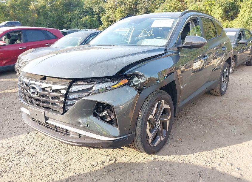 Photo 6 of 2023 Hyundai Tucson SEL (VIN 5NMJFCAE5PH209372)