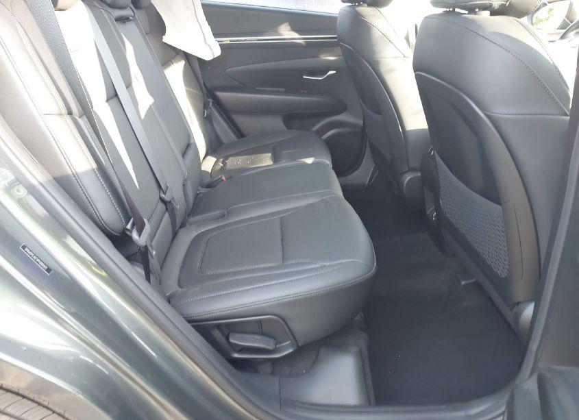 Photo 8 of 2023 Hyundai Tucson SEL (VIN 5NMJFCAE5PH209372)