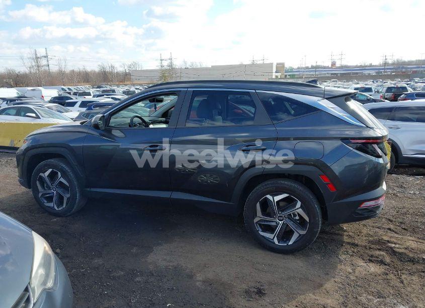 Photo 14 of 2023 Hyundai Tucson SEL (VIN 5NMJFCAE5PH267661)