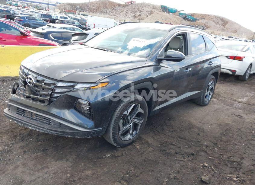 Photo 2 of 2023 Hyundai Tucson SEL (VIN 5NMJFCAE5PH267661)