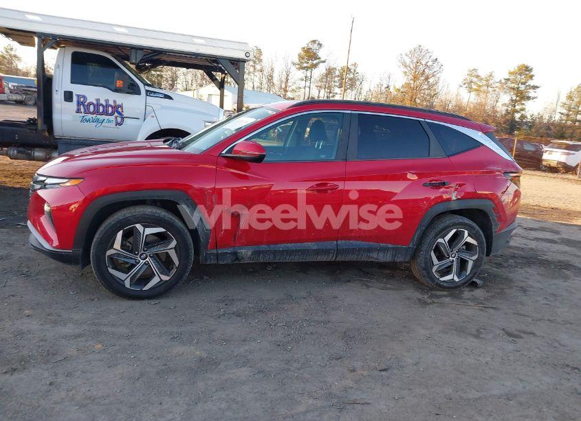 Photo 14 of 2022 Hyundai Tucson SEL (VIN 5NMJFCAE6NH011154)