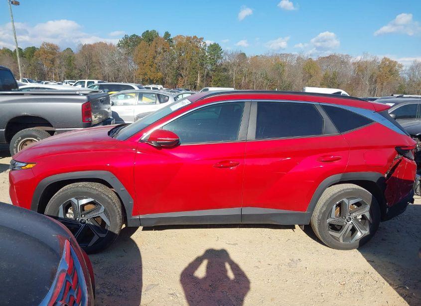 Photo 14 of 2023 Hyundai Tucson SEL (VIN 5NMJFCAE6PH200972)