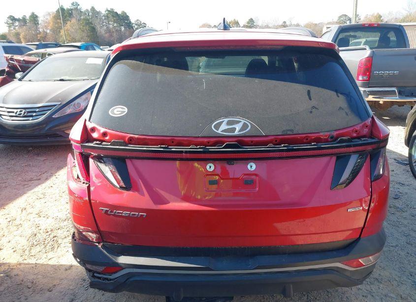 Photo 16 of 2023 Hyundai Tucson SEL (VIN 5NMJFCAE6PH200972)