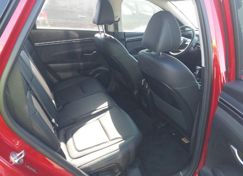 Photo 8 of 2023 Hyundai Tucson SEL (VIN 5NMJFCAE6PH200972)