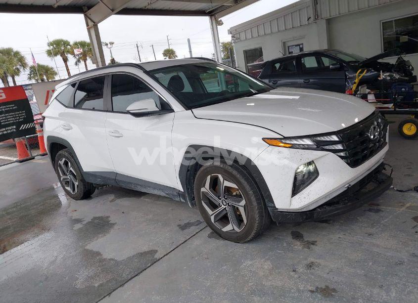 Photo 13 of 2023 Hyundai Tucson SEL (VIN 5NMJFCAE6PH260508)