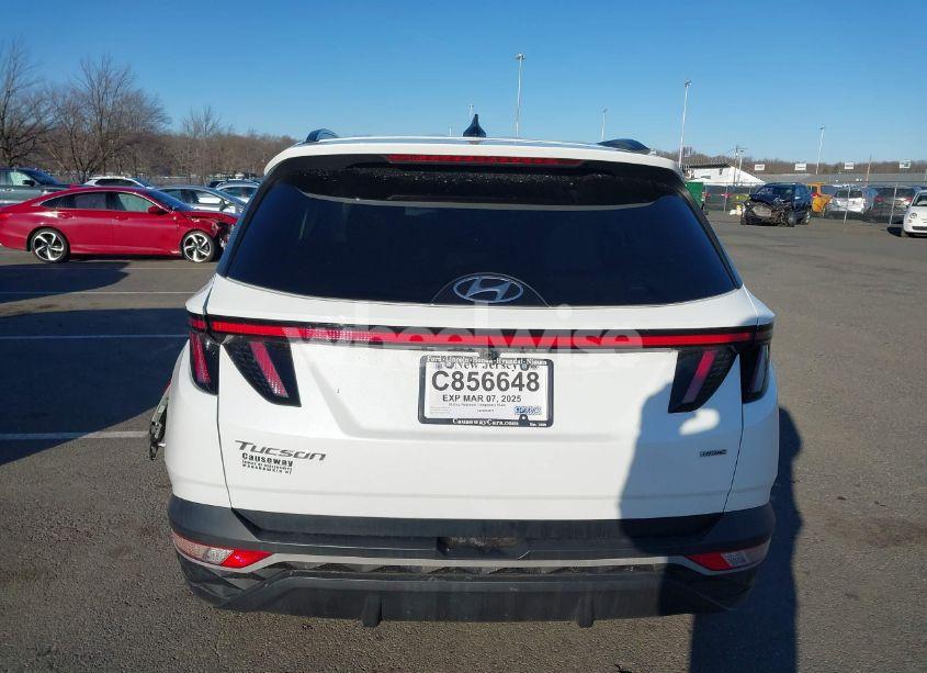 Photo 16 of 2022 Hyundai Tucson SEL (VIN 5NMJFCAE7NH085117)