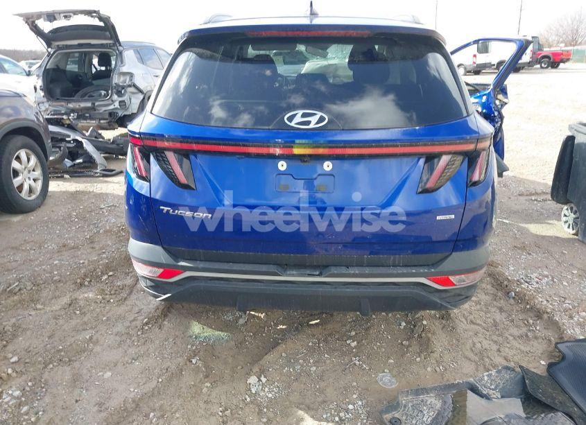 Photo 16 of 2022 Hyundai Tucson SEL (VIN 5NMJFCAE7NH135403)