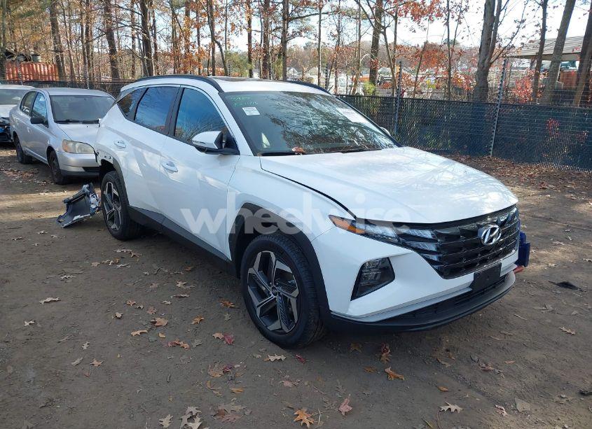 2023 Hyundai Tucson SEL (VIN 5NMJFCAE7PH218736) main photo
