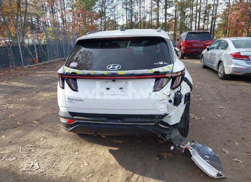 Photo 16 of 2023 Hyundai Tucson SEL (VIN 5NMJFCAE7PH218736)