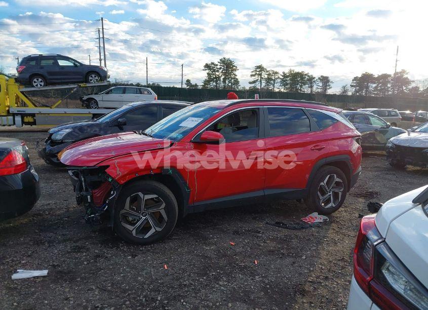 Photo 14 of 2023 Hyundai Tucson SEL (VIN 5NMJFCAE7PH254989)